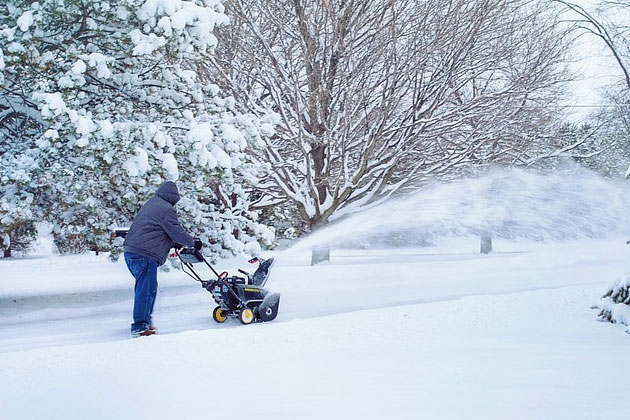 How can Professional snow removal services be valuable? 